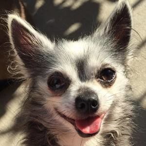 Meet your Posher, Kris